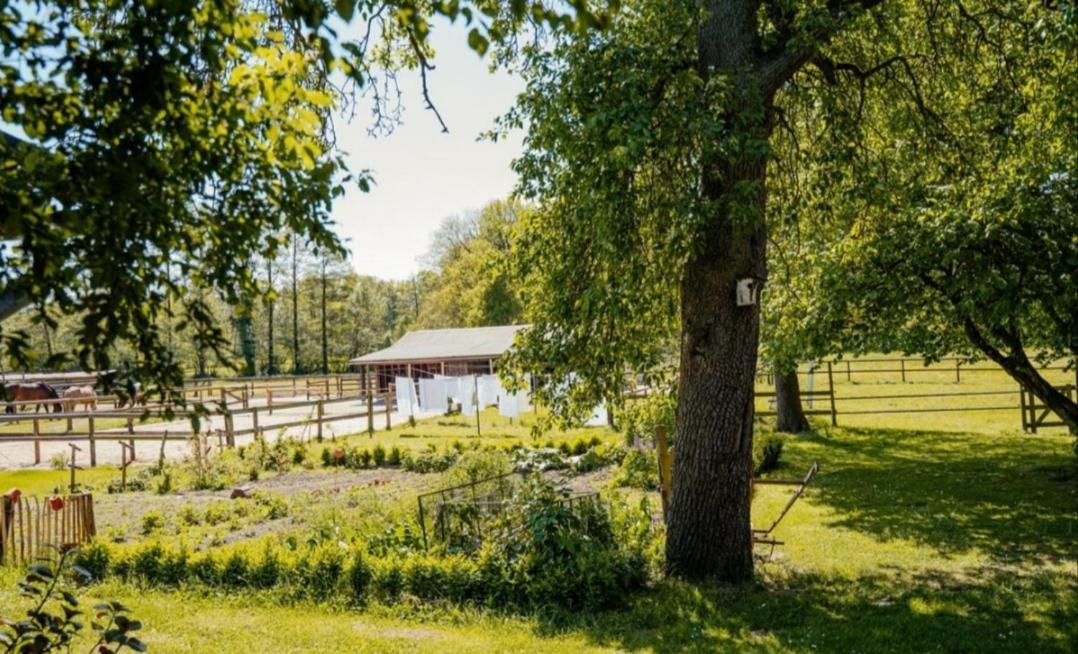 Ferienhof Trapp Ellringen Exteriör bild